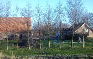 Hoek Duivenwaardsedijk-Groeneweg